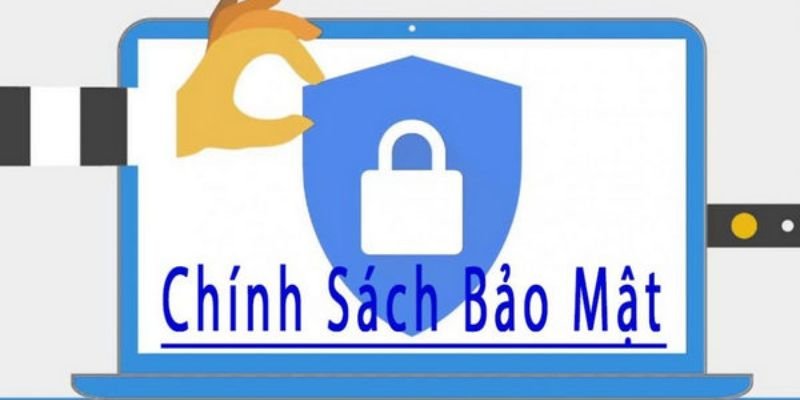 Chính sách bảo mật SP8